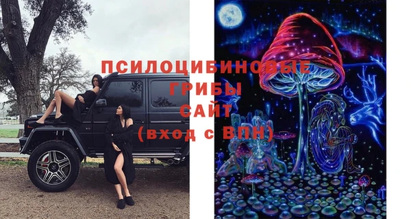 меф Алексин