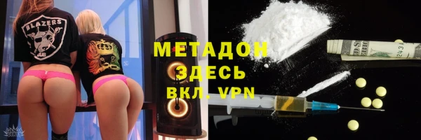 PSILOCYBIN Алзамай
