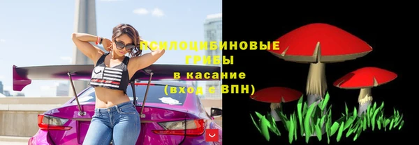 меф Алексин