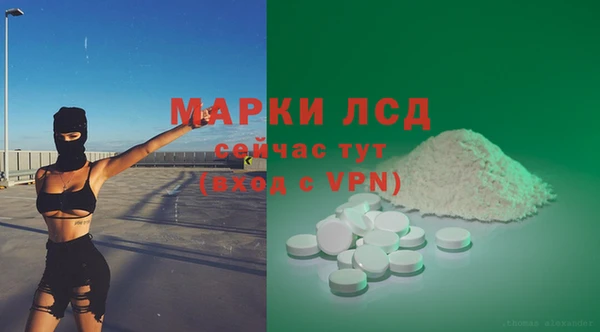 PSILOCYBIN Алзамай