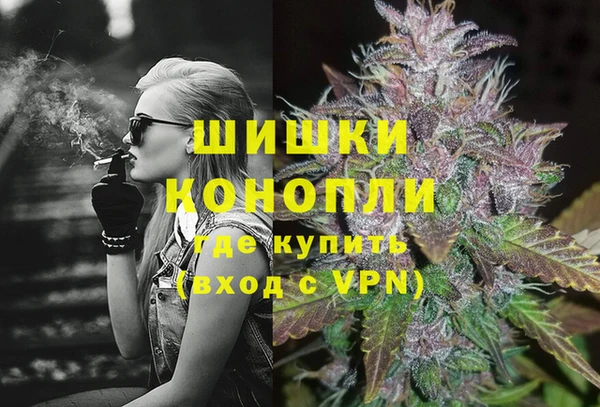PSILOCYBIN Алзамай