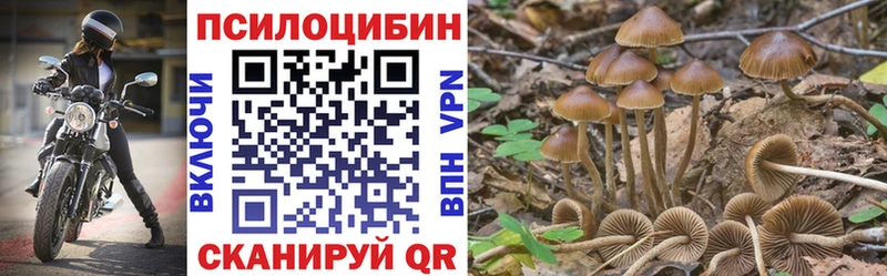 Галлюциногенные грибы Psilocybine cubensis  дарк нет состав  Ардон 
